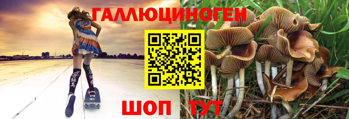 Псилоцибиновые грибы Psilocybine cubensis Мариинск