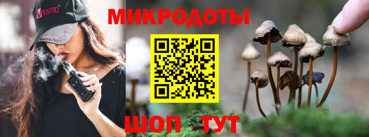 Псилоцибиновые грибы GOLDEN TEACHER  Вход с VPN  Мариинск  Псилоцибиновые грибы MAGIC MUSHROOMS 